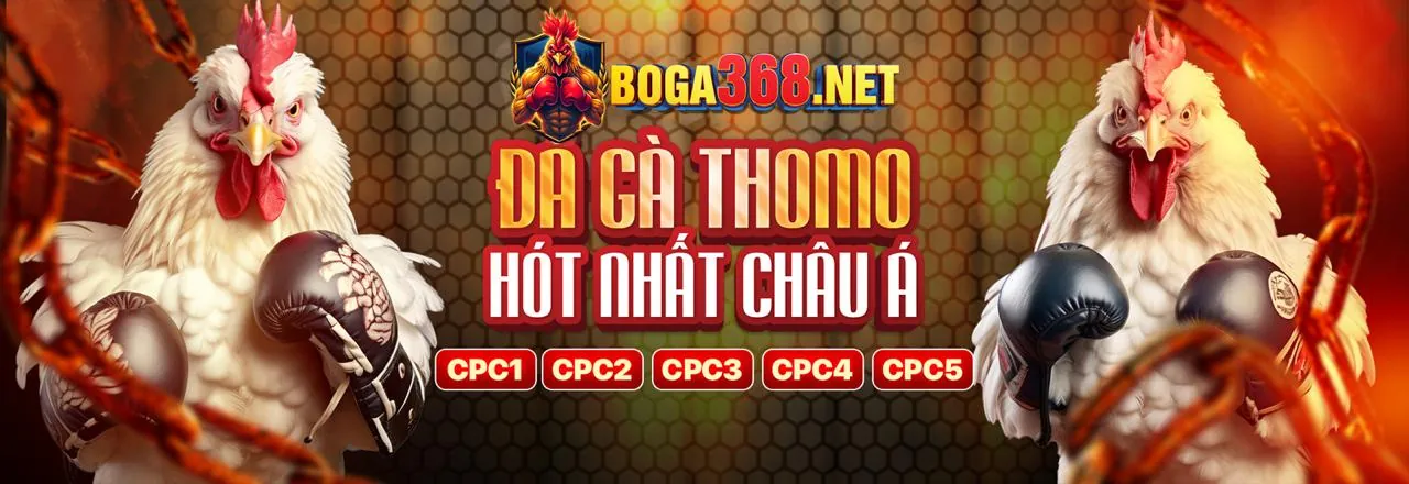 Hỗ trợ tiếp thị ft179