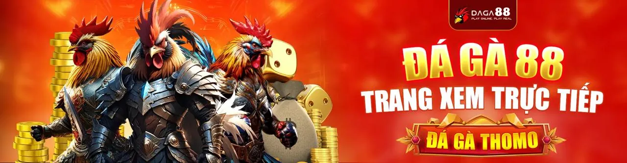 Đá gà trực tiếp tại ft179 đăng nhập